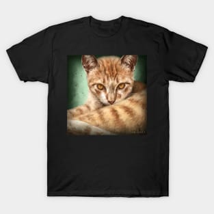Painting of a an Orange Cat Looking Directly at You, Green Background T-Shirt